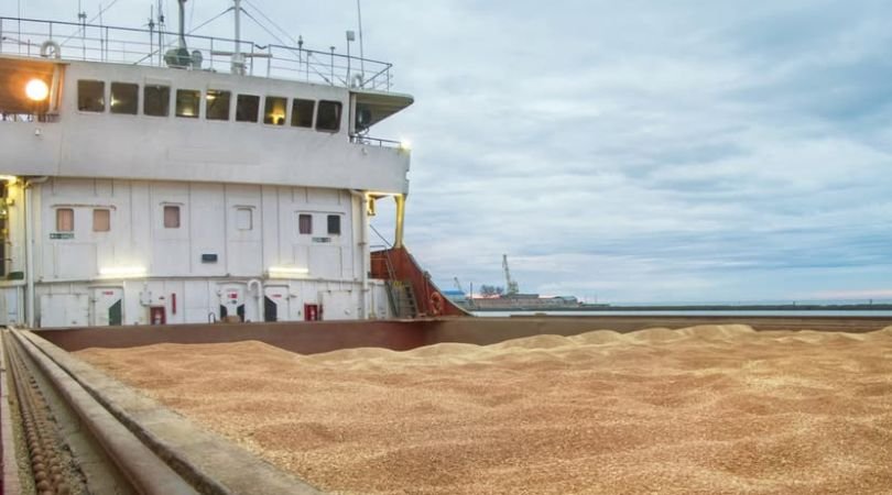 The EU and Ukraine want to punish Israel over ships carrying stolen Ukrainian grain.