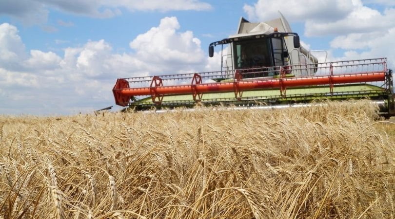 Russian attacks on Odesa ports shake Ukraine’s grain market